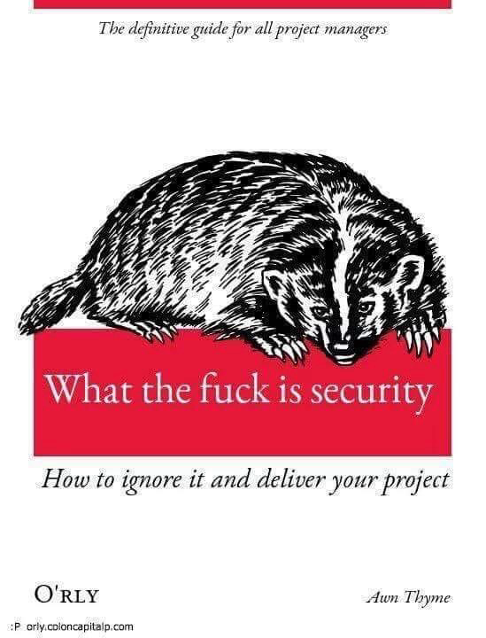 Gefälschter Buchtitel eines bekannten Verlages für IT-Bücher mit dem Titel "What the fuck is security".